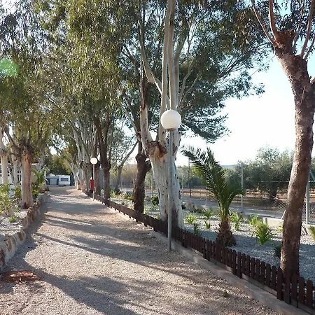 Torrenostra * Torreblanca