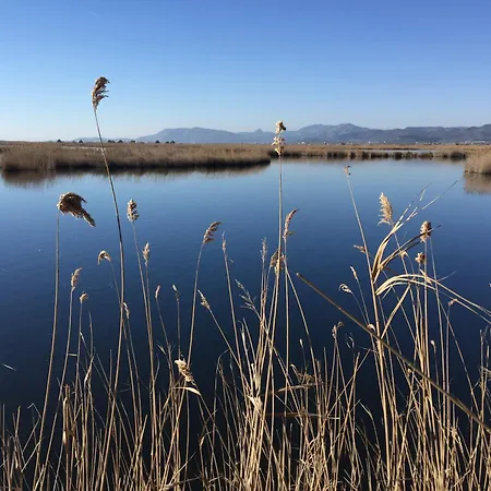 캠프장 Torrenostra *