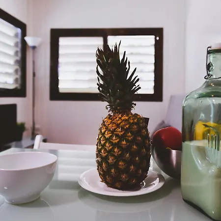 Torrenostra 캠프장